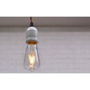 エジソンランプ LED 電球 E26 照明 ライト ランプ フィラメント レトロ 超寿命 エジソン電球 ヴィンテージ 電球色 オレンジ IZ47054S