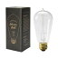 IZ46506SEdison Bulb Signature L 60W E26  ŵ ڥȥ饤  ȥ ե ŵ ե