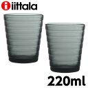 イッタラ グラス タンブラー アイノアールト 220ml 2個セット ダークグレー iittala