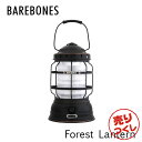 Barebones Living ベアボーンズ リビング Forest Lantern フォレストランタン LED 2.0 Antique Bronze アンティーク ブロンズ