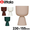 iittala Cb^ Nappula ibv vg|bg 230~155mm ԕr Ԋ t[x[X x[X t[|bg v^[ t[ ԁwiꕔn揜jx