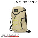 MYSTERY RANCH ミステリーランチ GALLAGATOR 10 ギャラゲーター S/M 10L Hummus Dobby ハムス ドビー/ハマス ドビ...