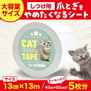 【ペットトレーナー宮本先生監修】猫 爪とぎ防止シート 13cm×13M 【40cm×80cm 5枚分】しつけ用 大容量サイズ はがせる粘着タイプ テープ 半透明 好きなサイズに切れる 1