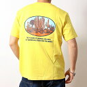 DULTON ダルトン Tシャツ 半袖 プリントTシャツ 厚手 BOTANY バックプリント デザイン ボックスシルエット おしゃれ メンズ レディース 雑貨 ブランド カジュアル アメカジ ワーク ヴィンテージ 2024年 春夏 チャコール スミクロ グレー 灰色 マスタード 黄色 (18-t230651)