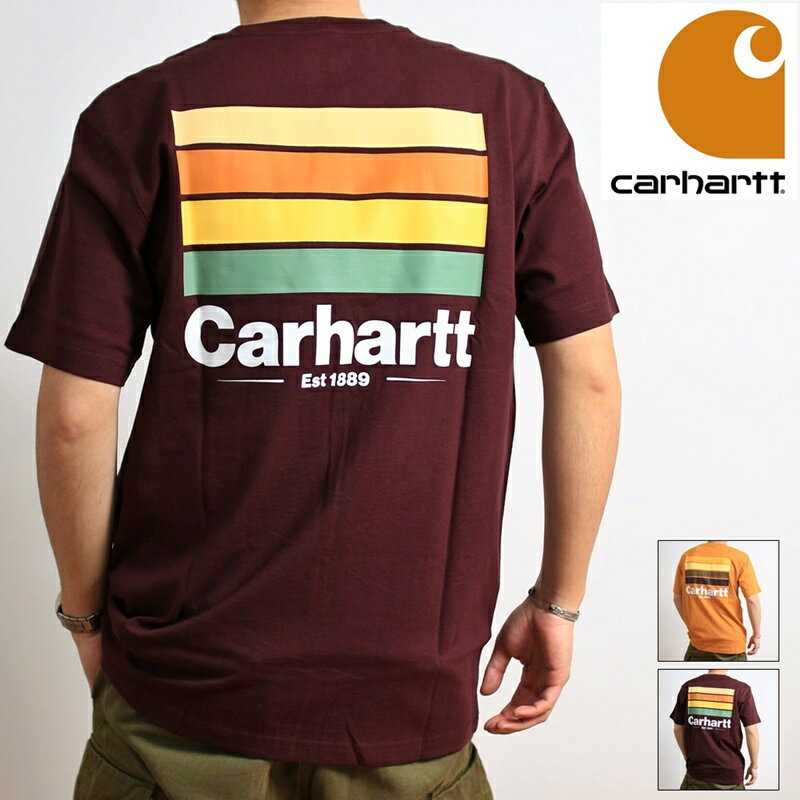 カーハート Carhartt Tシャツ 半袖 ポケット付き バックプリント ライングラフィック リラックスフィット 大きいサイズ ビッグサイズ プリントTシャツ カジュアル アメカジ ストリート ヴィンテージ ゴールド イエロー マルーン バーガンディ ワインレッド (23-crhtt105713)