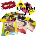 NOW ON SALE！◆BLACK CATS HARAJUKU BIBLE◆ブラックキャッツ　原宿伝説◆BLACK CATS Early Times Complete Box◆VIZL-1980