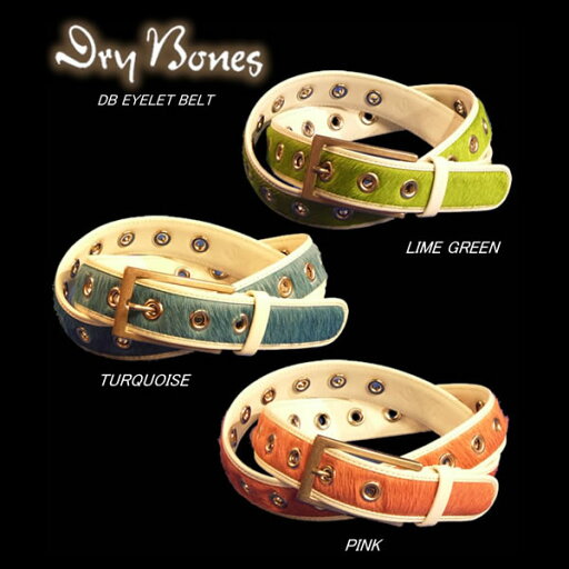 DB EYELET BELT DB EYELET BELT