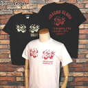 JOHNNY KOOL ジョニークール DRAGON T-SHIRT ドラゴン半袖Tシャツ JK-8166T