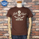 BUZZ RICKSON 039 SバズリクソンズS/S TEE半袖TシャツJolly RogersジョリーロジャースBROWNBR78907