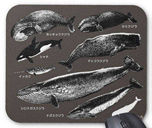 クジラの仲間のマウスパッド：フォトパッド（ 世界の野生動物シリーズ ）