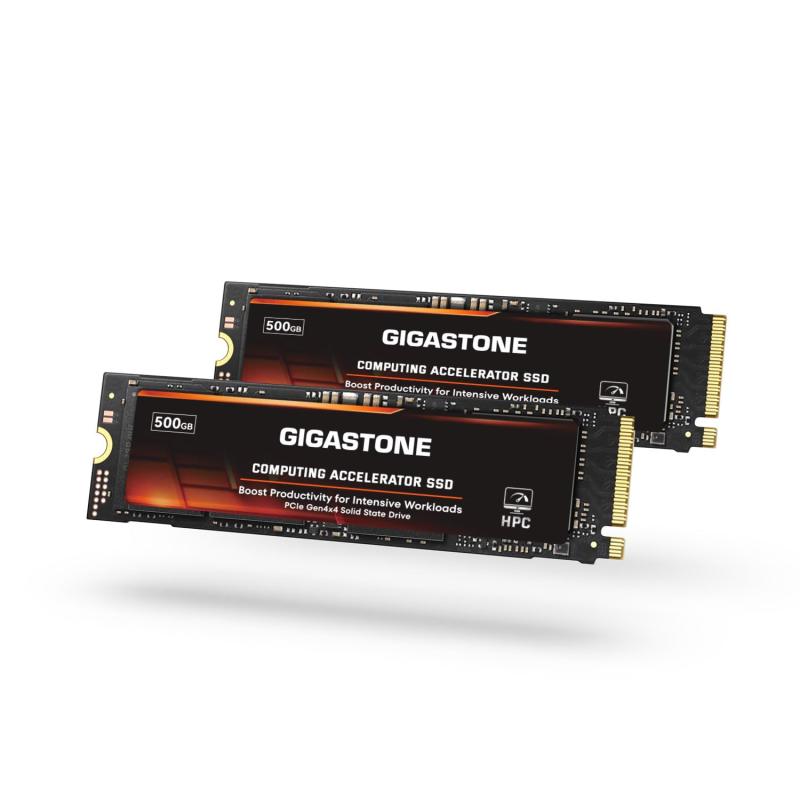 GIGASTONE HPC Computing M.2 SSD 500GB (2パック) PCIe 4.0 NVMe SSD ホストメモリバッファキャッシュ加速速度 コーディング ビッグデータ集約型ワークロード、5000MB/s 内蔵ソリッドステートドラ
