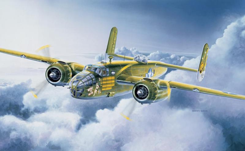 タミヤ(TAMIYA) イタレリ 2650 1/48 ロッキード ノースアメリカン B-25 C/D ミッチェル プラモデル男の子向き対象年齢 : 15歳から