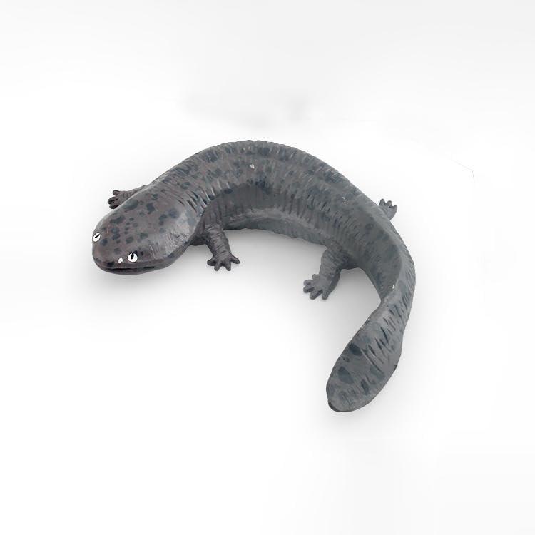 [猫神山] 山椒魚 サンショウウオ 川の生き物 湖沼 渓流 フィギュア モデル ミニチュア 置物 インテリア コレクター 模型