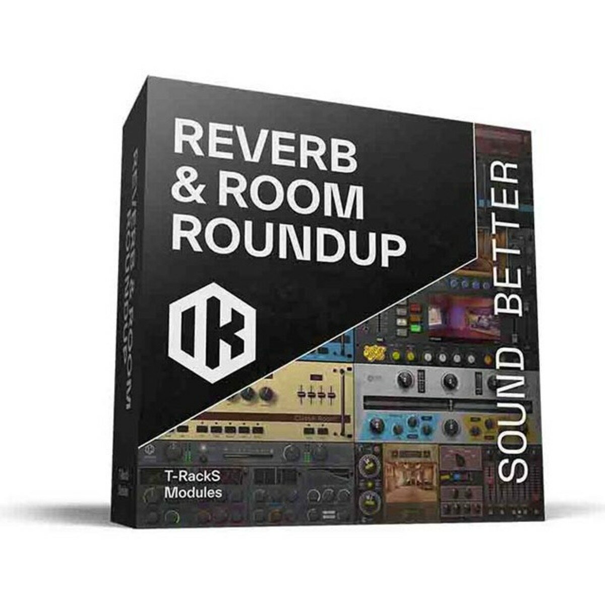 IK Multimedia Reverb & Room Roundup