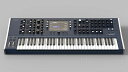 Waldorf(ウォルドルフ) Quantum Mk2(2)