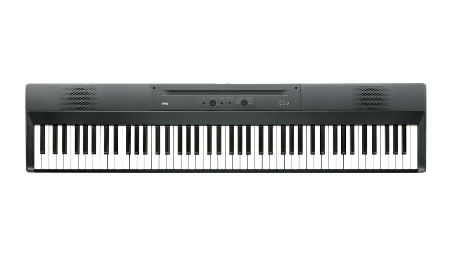 KORG Liano Metallic Gray