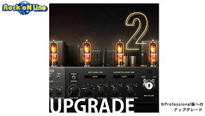 Positive Grid Upgrade From BIAS AMP 2 Standard to BIAS AMP 2 Professional【Positive Grid Black Friday 2022】【※シリアルPDFメール納品】【DTM】【ギターアンプ(Amp)・シミュレーター】格安セール