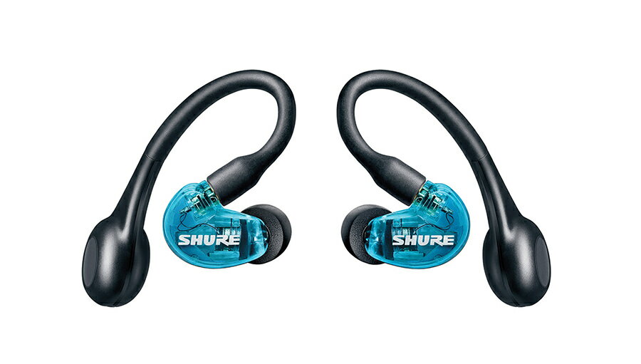 SHURE　SE21DYBL+TW2-A