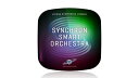 VIENNA(rGi) SYNCHRON SMART ORCHESTRA