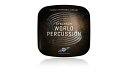 VIENNA(ビエナ) SYNCHRON WORLD PERCUSSION