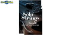 Audio Modeling SWAM Solo Strings bundle【※シリアルメール納品】【DTM】【ストリングス音源】