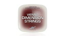 VIENNA(rGi) VIENNA DIMENSION STRINGS 1 / FULLyDTMz