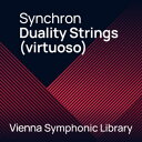 VIENNA(ビエナ) SYNCHRON DUALITY STRINGS (VIRTUOSO)【期間限定特価!】