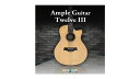 【D2R】AmpleSound AMPLE GUITAR TWELVE III【※シリアルPDFメール納品】