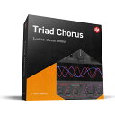 IK Multimedia T-RackS Triad Chorus 【※シリアルメール納品】