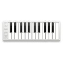 ESI Xkey 25