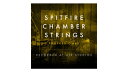 【D2R】SPITFIRE AUDIO SPITFIRE CHAMBER STRINGS PROFESSIONAL