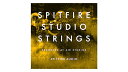 【D2R】SPITFIRE AUDIO SPITFIRE STUDIO STRINGS