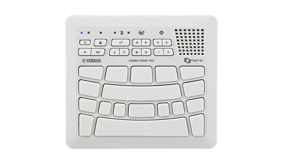 YAMAHA FGDP-30