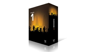 WAVES(ウェイブス/ウェーブス) Musicians 1 【Waves Promotion!】【※シリアルPDFメール納品】【DTM】【エフェクトプラグイン】安売り