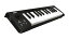 KORG microKEY 25ں߸˸¤ʡۡMIDIܡɡ