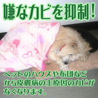嫌なカビを抑制