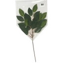 造花榊 1本 【あす楽対応】 【送料無料ライン/39ショップ】