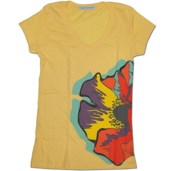 BLUE RIBBON Vネック半袖Tシャツ  021　