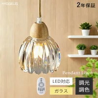 Rakuten - 【5年保証】 ペンダントライト おしゃれ ガラス 1灯 3灯 2灯 吊下げ灯 天井 照明 北欧 天井照明 明るい 和風 和室 寝室 リビング用 ダイニング LED電球対応 洋室 E26 キッチン 照明器具 トイレ 階段 間接照明 リモコン付き 引掛けシーリング ダクトレール用 かわいい 食卓用