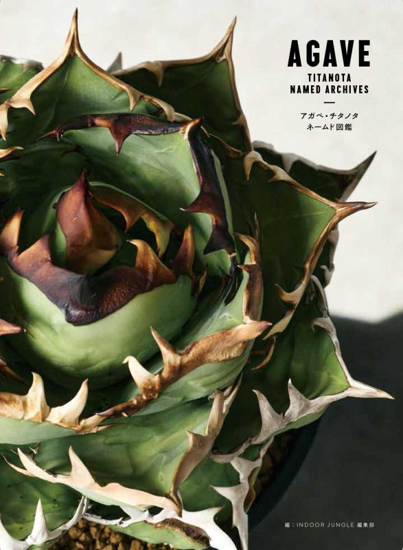 乐天商城 - アガベ・チタノタ ネームド図鑑 AGAVE TITANOTA NAMED ARCHIVES