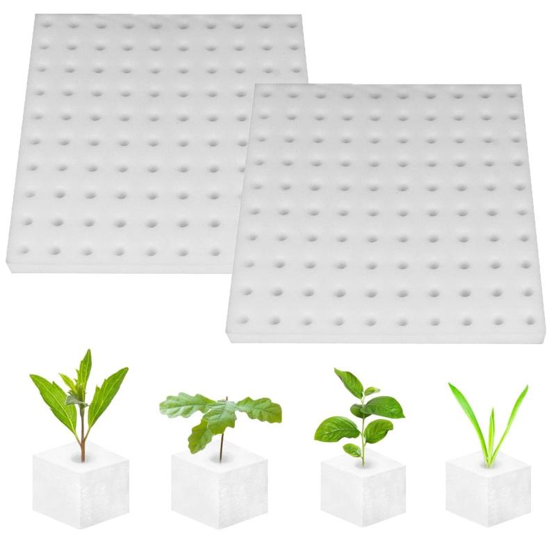 乐天商城 - Phyxiul水耕栽培スポンジ 野菜植えスポンジ 園芸用品 水耕栽培 葉菜用培地 スポンジ 土壌なし 便利性 通気性 植物栽培 無土壌植栽 家庭用 野菜 花 植栽用 植栽ガーデニングツール 四角い苗ス