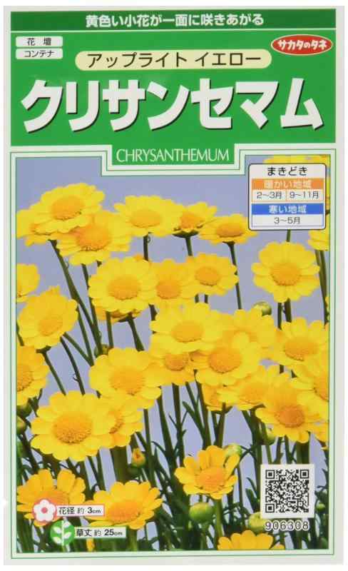 乐天商城 - サカタのタネ クリサンセマム