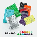 【10%OFFクーポン対象】BANSAC(バンサック) バンダナ エコバッグ / HAV-A-HANK ハバハンク カバン 小さめ 柄 ペイズリー おしゃれ メンズ レディース SOLID COLOR(4)