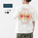 PENDLETONiyhgj obNvgTVc /  Y fB[X  Rbg Back Print TEE