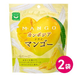 ドライフルーツ カンボジア ドライマンゴー 2袋セット 果物 マンゴー スナック菓子 おやつ カンボジアマンゴー フルーツお菓子 スナック ジューシー フルーツ