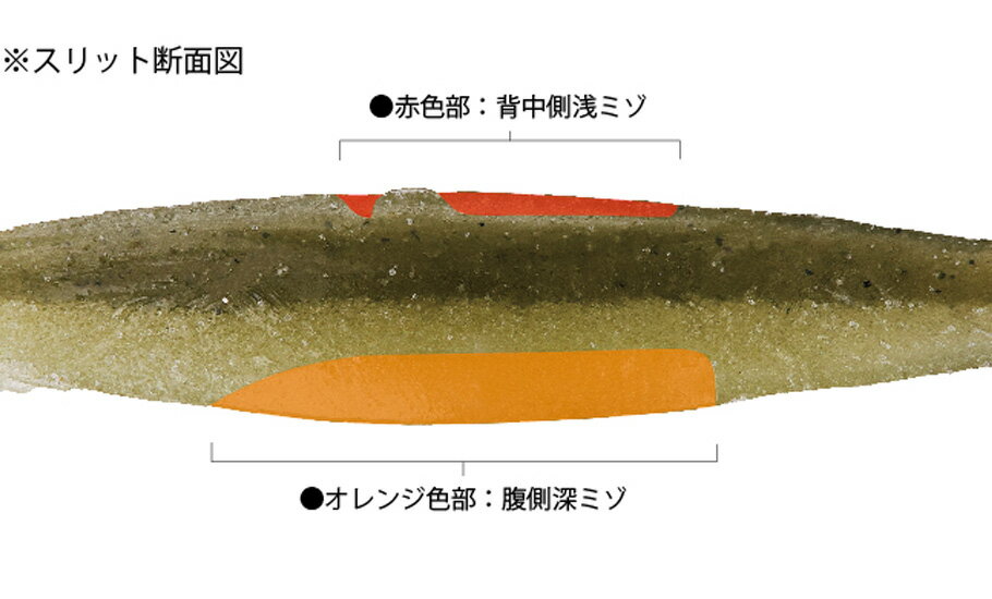 ボトムアップ　ヴァラップスイマー5.5インチ　エコ認定商品　#T217　ゴーストチャートバック【メール便可】