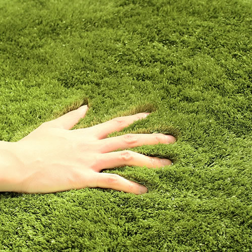 BRID GRASS RUG(グラスラグ) φ35cm 001043 [2]