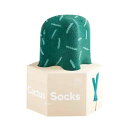DOIY カクタスソックス CACTUS SOCKS(アストロ)