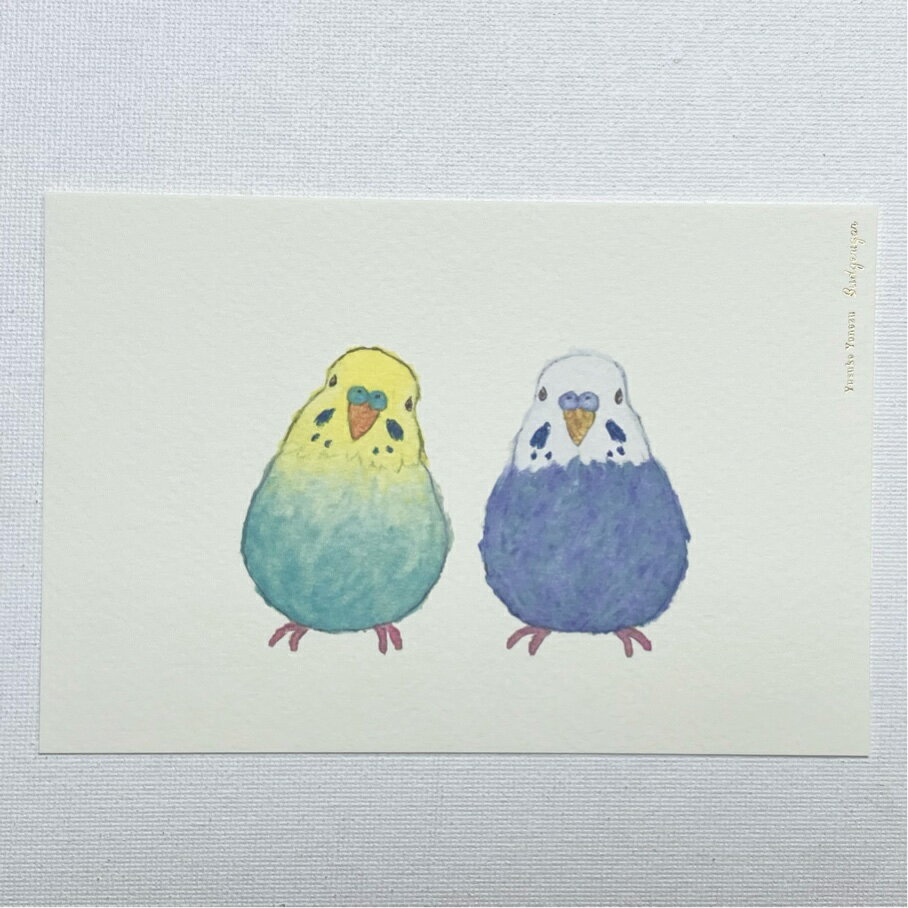 Roger㤨ʹYusuke YonezuݥȥɡBudgerigarס󥳡פβǤʤ165ߤˤʤޤ