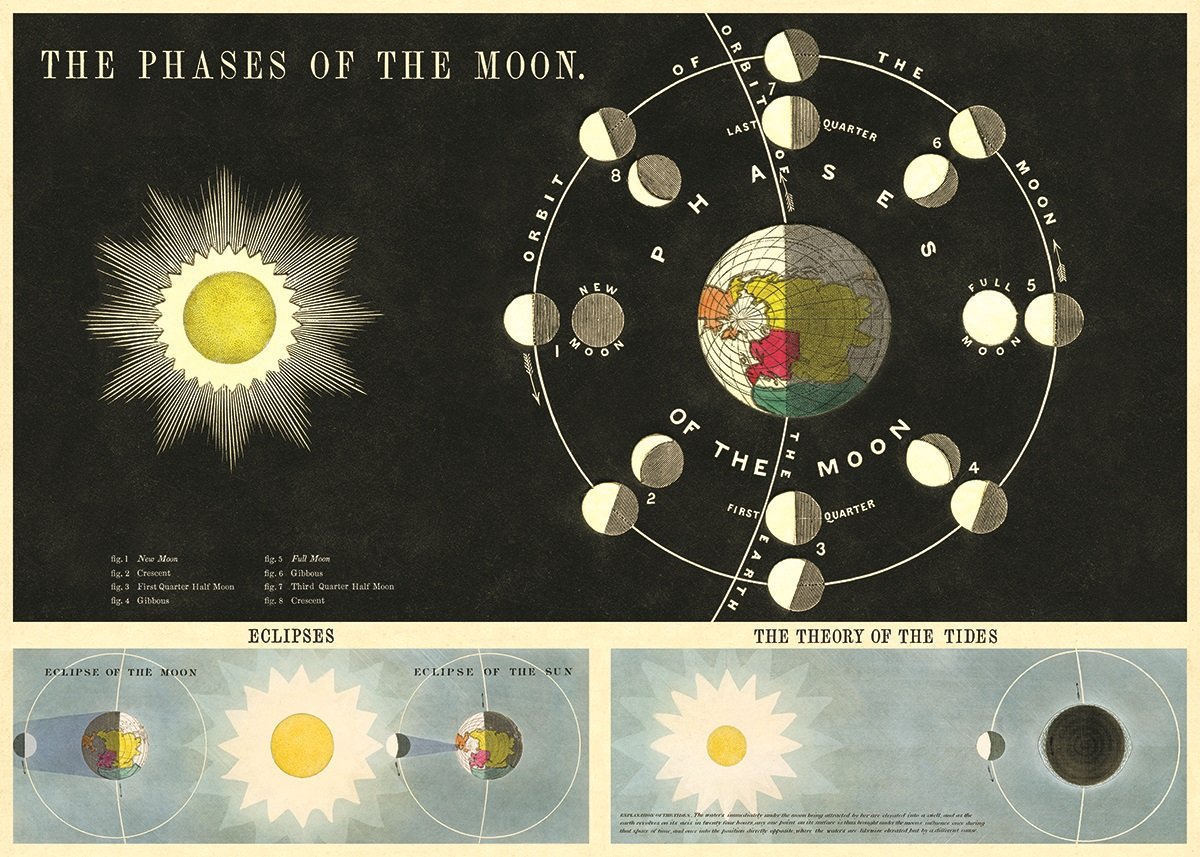 アメリカ CAVALLINI　カヴァリーニ　ラッピングペーパー　ポスター　月相　Phases Of The Moon